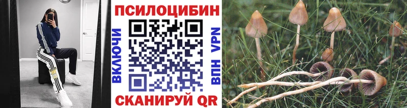 Псилоцибиновые грибы Magic Shrooms  даркнет сайт  Канск 